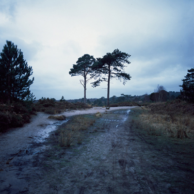 Part of the Common series