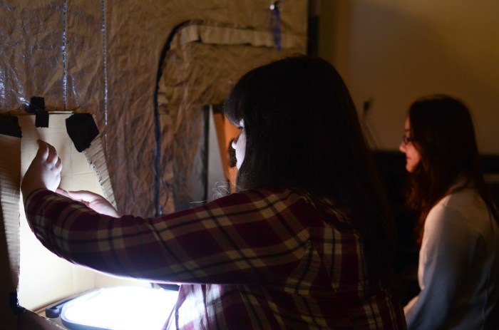 DSC_0025Residencylowres