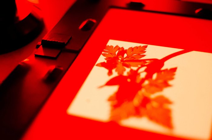 DSC_6834Residencylowres